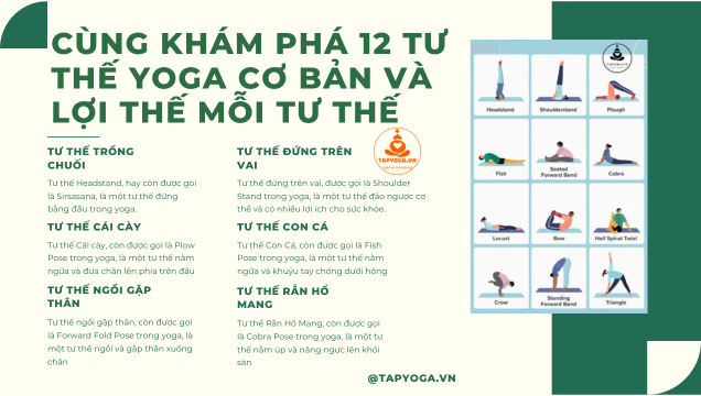 12 tư thế yoga cơ bản và lợi ích của mỗi tư thế