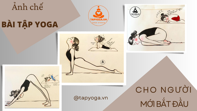 Bài tập Yoga cho người mới bắt đầu