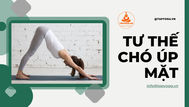 Lợi ích sức khỏe của tư thế chó cúi trong yoga