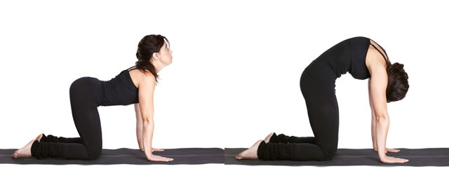 Bằng cách thực hiện các động tác Yoga đều đặn tại nhà, bạn có thể đạt được cơ thể khỏe mạnh và linh hoạt hơn.