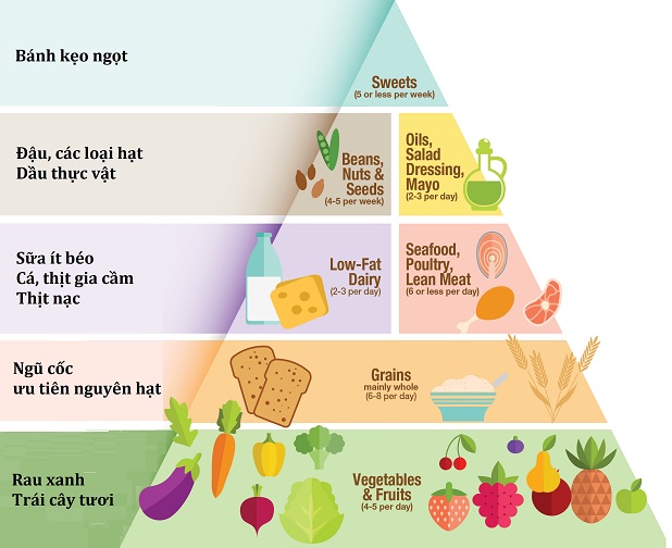 Tháp dinh dưỡng cân đối: Kết nối giữa sức khỏe và cân bằng trong cuộc sống