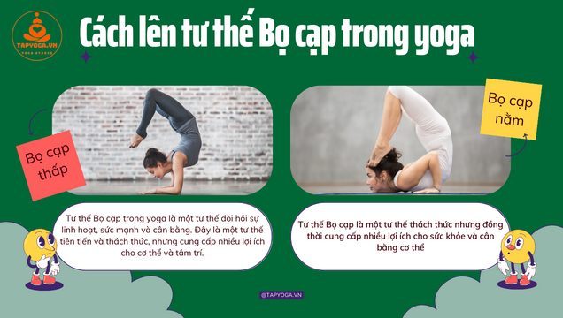 tư thế Bọ cạp trong yoga