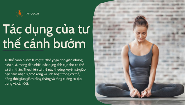 Tư thế cánh bướm (Butterfly Pose)