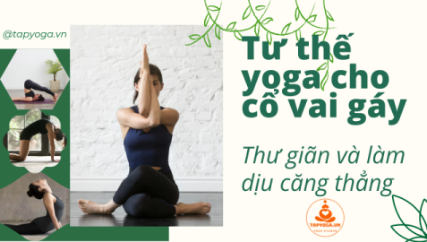 Yoga cổ vai gáy là một phần quan trọng của bài tập yoga để tạo ra sự cân bằng và linh hoạt trong khu vực cổ vai gáy