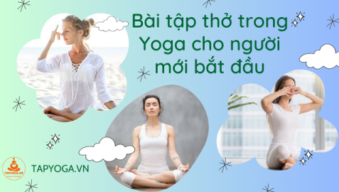 Bài tập thở trong Yoga cho người mới bắt đầu