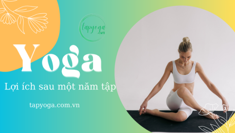 Lợi ích sau một năm tập yoga đều đặn