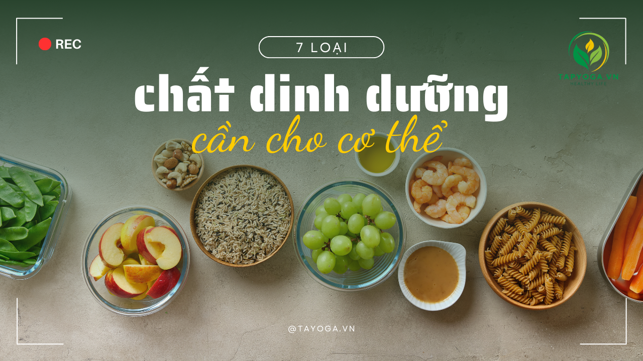 7 Loại Chất Dinh Dưỡng Cần Thiết Cho Cơ Thể