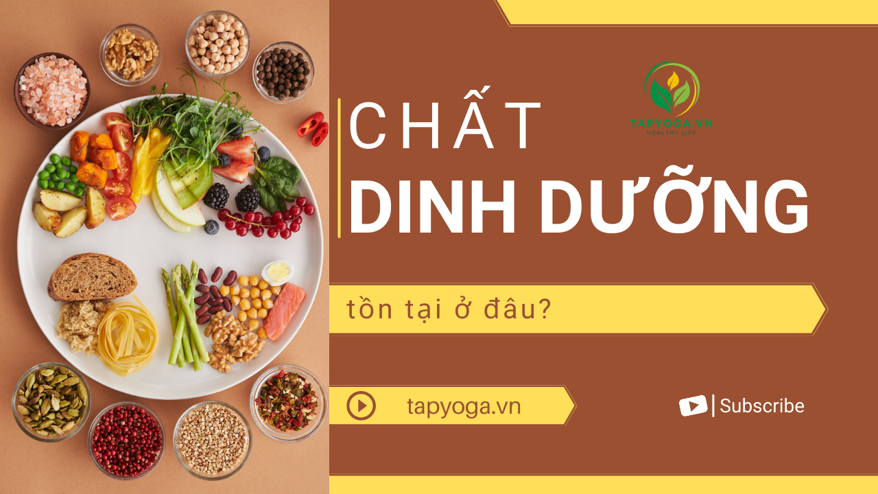 Chất dinh dưỡng tồn tại ở đâu?