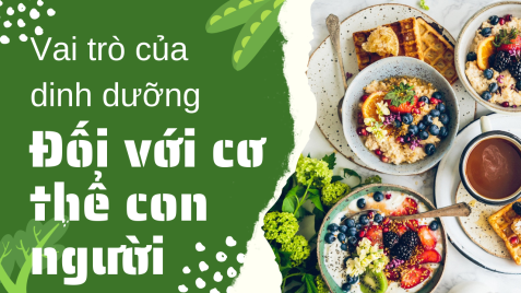 Vai trò của dinh dưỡng đối với cơ thể con người