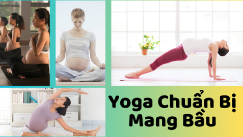 tầm quan trọng của yoga trong việc chuẩn bị mang thai