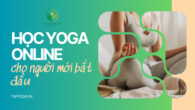 Học Yoga online cho người mới bắt đầu