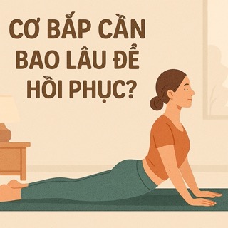 Cơ bắp cần bao lâu để hồi phục? Tập khoẻ – Phục hồi nhanh