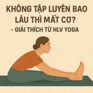Không tập luyện bao lâu thì mất cơ? – Giải thích từ HLV Yoga