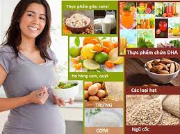 Hướng dẫn từng bước cụ thể (Action plan theo mốc thời gian)