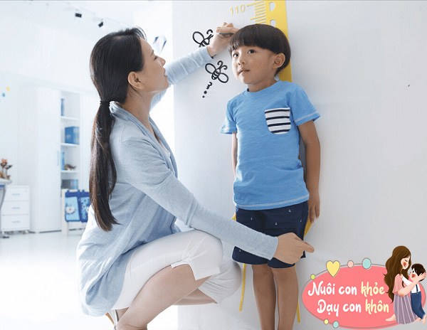 Tăng chiều cao phụ thuộc vào hormone tăng trưởng – và hormone này hoạt động mạnh nhất khi bạn ngủ sâu
