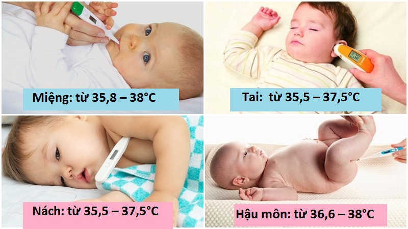 XỬ TRÍ CỤ THỂ