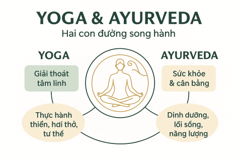 MỐI LIÊN HỆ GIỮA YOGA VÀ AYURVEDA
