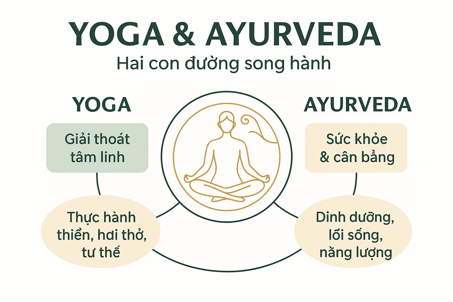 MỐI LIÊN HỆ GIỮA YOGA VÀ AYURVEDA