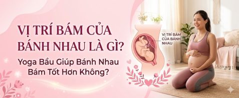 Yoga Bầu Có Giúp Nhau Thai Bám Tốt Hơn Không? Giải Đáp Chi Tiết