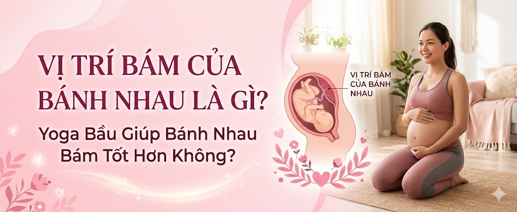 Yoga Bầu Có Giúp Nhau Thai Bám Tốt Hơn Không? Giải Đáp Chi Tiết